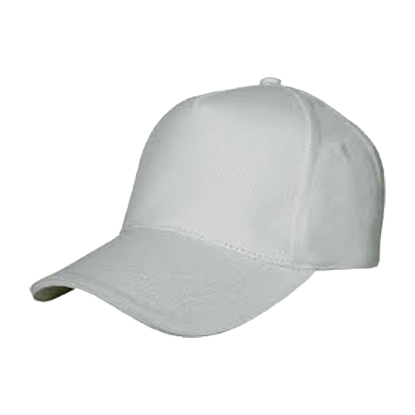 Picture of cap 3