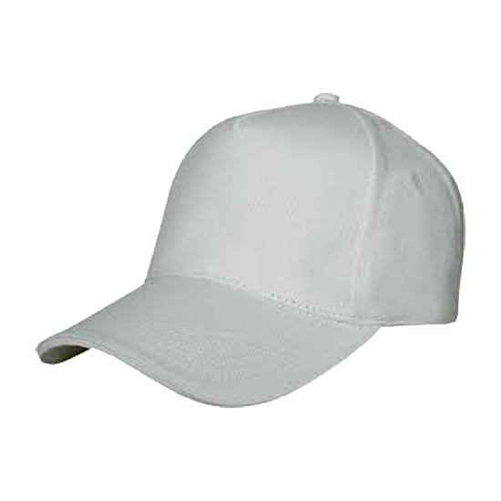 Picture of cap 3